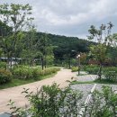 우이동 가족캠핑장 이미지