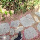 분당제일공인중개사사무소 이미지