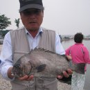 k1한국바다낚시터 이미지