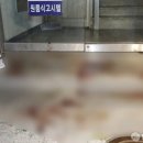 길음역 9번출구 네이버블로그