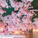 봄앤봄 플라워 카페 이미지