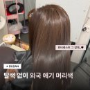 위닛(WENEED) 서면점 | 부산 미용실 | 외국애기 염색 탈색 없이 성공한 애쉬브라운 후기