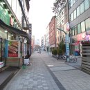 브라운 도트 이미지