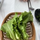 대천맛집 ㅣ 대천항수산시장 ㅣ 내돈내산 ㅣ 대천여행 ㅣ 솔직후기