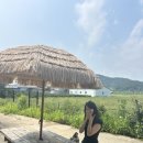 남파랑78 이미지