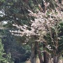 해비치골프연습장 이미지