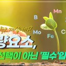작물의 미량원소... 이미지