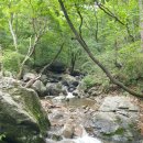 8/9(일) 하남 검단산 블야 100대 명산플러스 계곡산행 공지 이미지