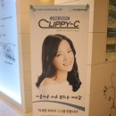 보스톤서울치과 이미지
