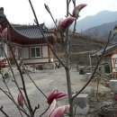 한솔펜션2 이미지