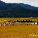 하동못안마을 이미지