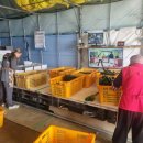 하늘그린 이미지