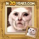 20년 후의 얼굴을 보여주는 어플에 고양이 사진을 넣어보았다 이미지