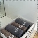 코이펜션