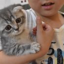 형아네집 이미지