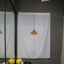 플레시피