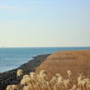 을숙도 철새공원 이미지