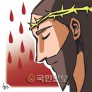 금광천막 이미지