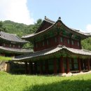 평창 오대산 사고 이미지