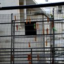 사랑의 소나기 이미지