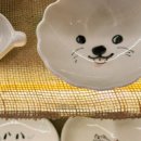 동해시-53 이미지