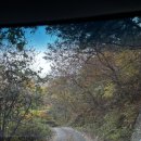 산과 자연의 쉼터 | 하동 하늘호수차밭쉼터/하동 산 위 카페/하동 자연뷰 찻집/센과 치히로 카페