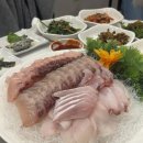 여수 희망선어 지인이 너무 추천해서 방문한 숙성회 맛집 나의 솔직후기