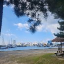 포항시북구91 | [포항 물회 현지인 맛집] 죽천회타운 솔직후기 N번째 재방문