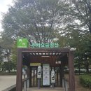 자전거 주차장 | 서울숲 주차장 이용 + 서울숲자전거대여소 내돈내산 이용 후기