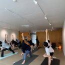 나마스떼 힌디어 첫걸음 | [수지 동천 요가] 나마스떼 하우스 하타 비기너 클래스 설명과 후기/ 초심자를 위한 수련/ 바른 몸 정렬