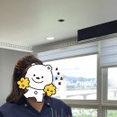 택스25