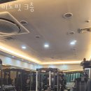 미도핏 네이버블로그