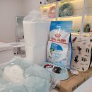 김해 강아지분양 베베몽 이미지