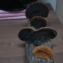 뽕이네민박 이미지