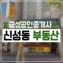 금성공인중개사사무소 이미지