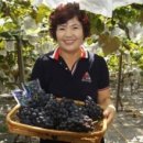 솔뫼농장 이미지