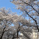 한산3교 이미지