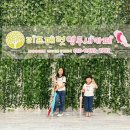 리프패럿 롯데마트 광복점 이미지