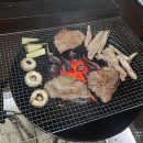 휴 | 대전 애견동반 펜션 장태산 휴펜션 내돈내산 후기