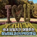부모님과 국내 당일치기 여행 추천 하늘투어패키지 내돈내산 괴산산막이옛길 청남대