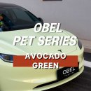 강남랩핑 테슬라 랩핑 OBEL AVOCADO GREEN 아보카도 그린 후기