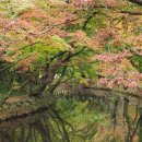 2025년 11월 정기산행 공지 이미지