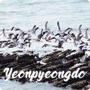 연평종합회관 | 인천 섬여행 서해5도 연평도 충민사 조기파시 아리까리해변