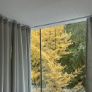 씨유 신촌르메이에르점 | 신촌 피부관리 [피브이에스테틱] 트러블 진정효과 최고 ㅠ.ㅠ 너무 친절하고 편안한 공간에서 힐링타임!