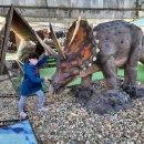 우석헌자연사박물관 이미지