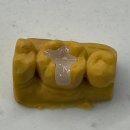 안중윤치과의원 이미지