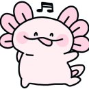 터치스토리 이미지