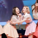 다 솜 이미지