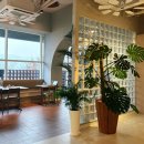 기지제수변공원 | 전주 혁신도시 기지제 수변공원 맛집 구프오프 혁신점 내돈내산 재방문 후기 | 문어명란 오일파스타 추천