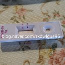 조달청사약국 이미지